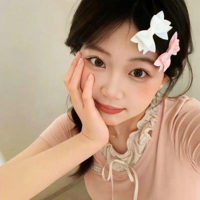 泰迪熊2
